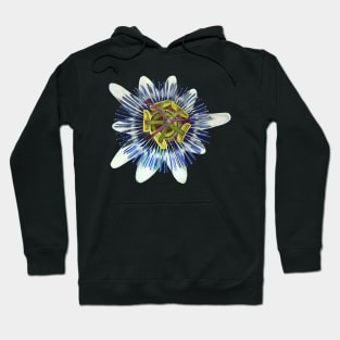 Passion of the Flower Hoodie